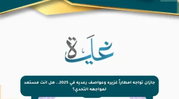 جازان تواجه أمطاراً غزيرة وعواصف رعدية في 2025.. هل أنت مستعد لمواجهة التحدي؟